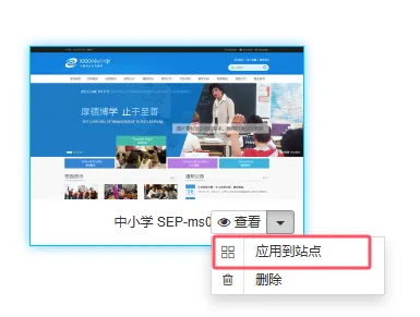应用到站点